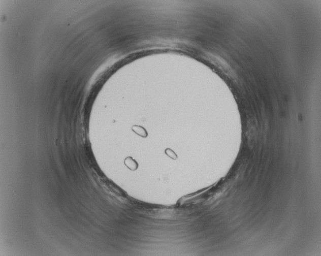 X0000064731172200603131246