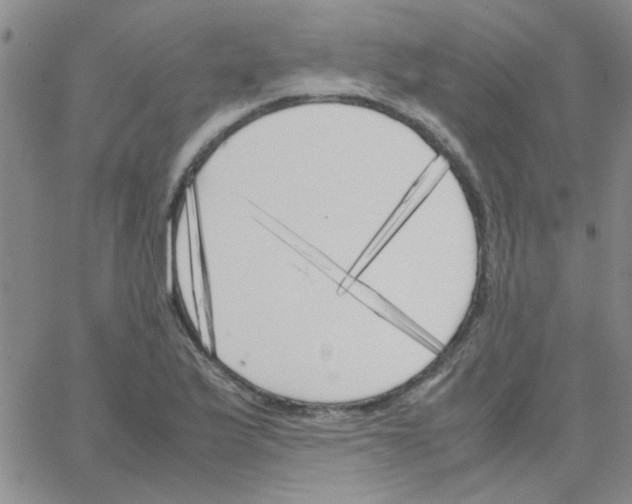 X0000064731175200603131246