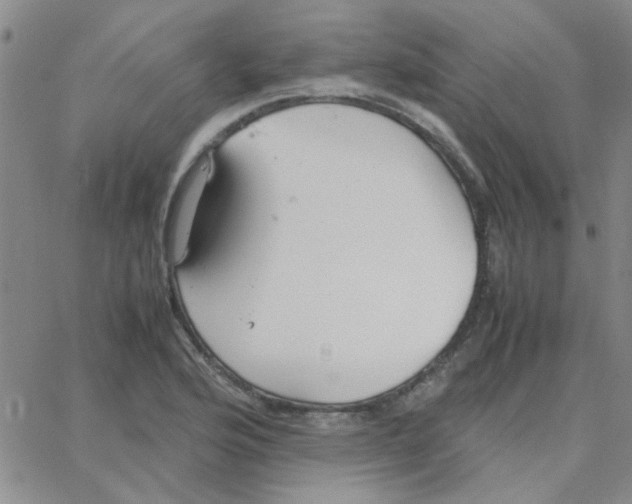 X0000064731176200603131245