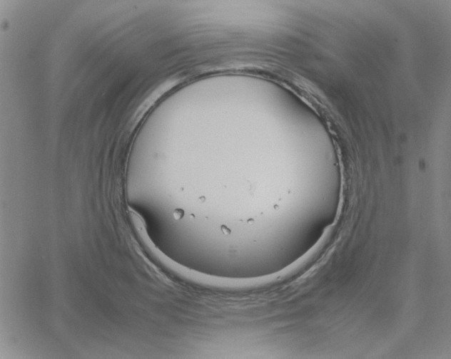 X0000064731177200603131245