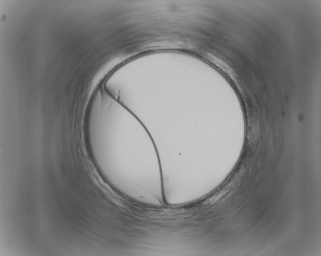 X0000064731179200603131245