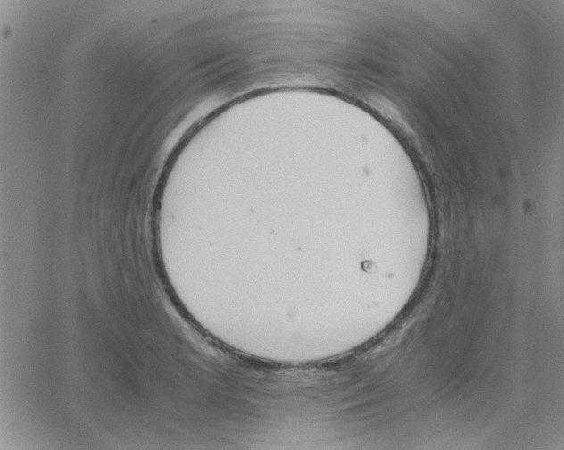 X0000064731181200603131245