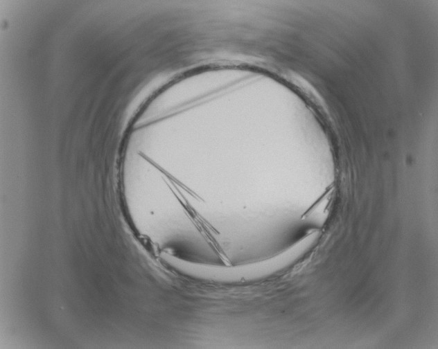 X0000064731183200603131245