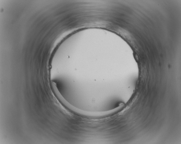 X0000064731184200603131245