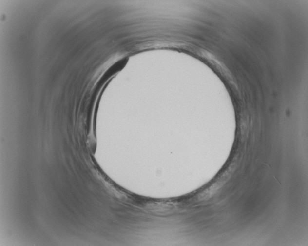 X0000064731185200603131245