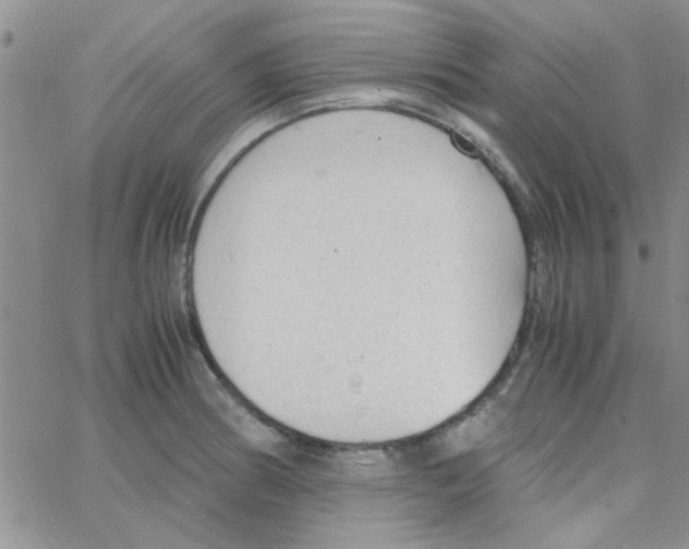 X0000064731186200603131245