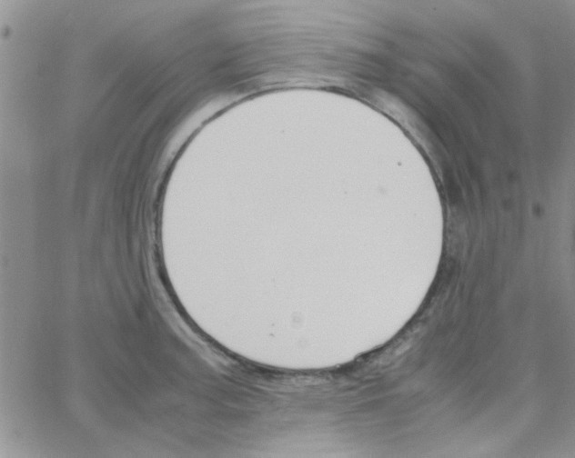 X0000064731187200603131245