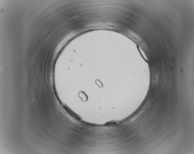 X0000064731188200603131245