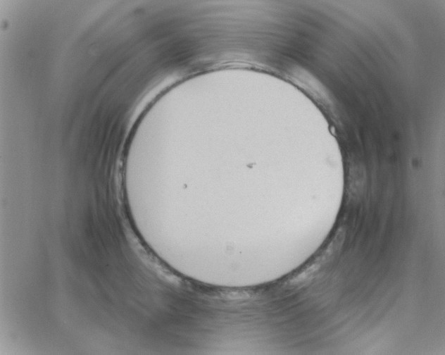 X0000064731190200603131245