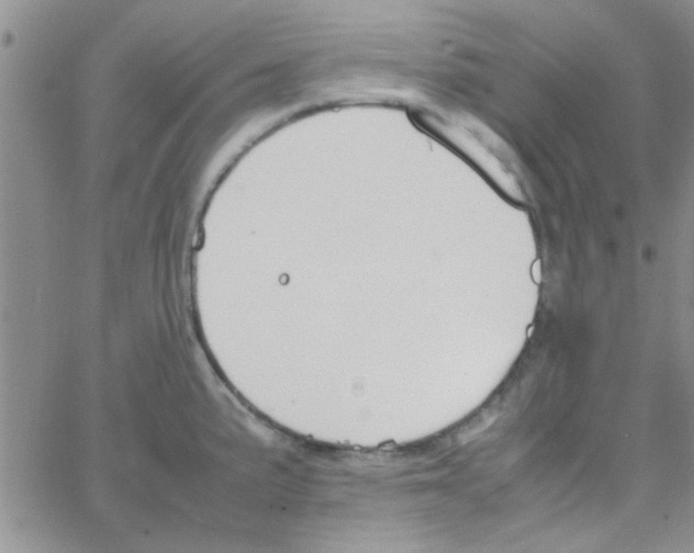 X0000064731191200603131245