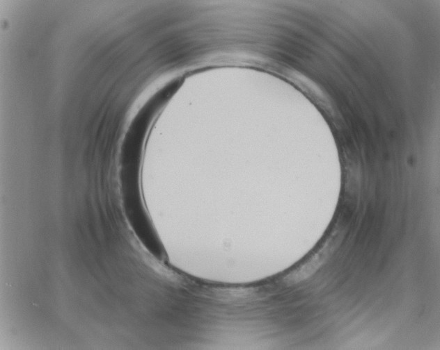 X0000064731192200603131245