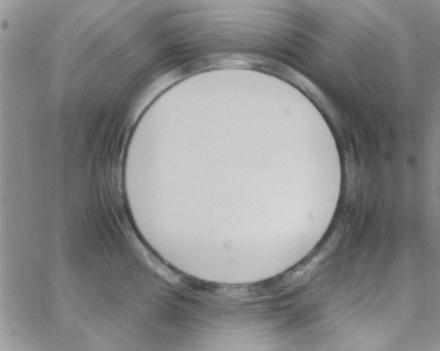 X0000064731194200603131245