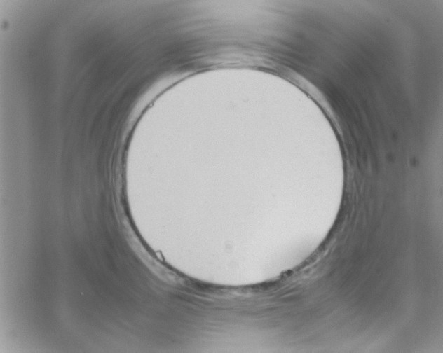 X0000064731195200603131245