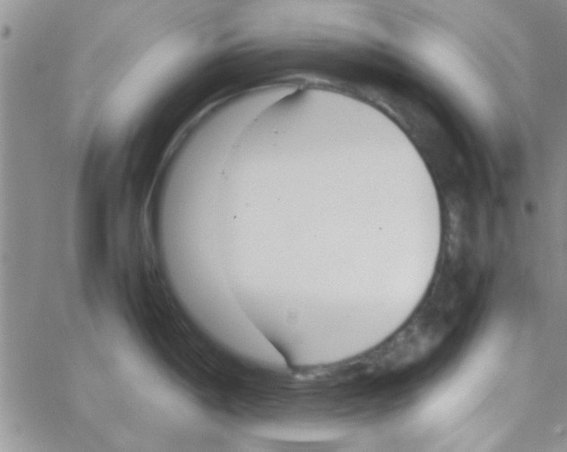 X0000064731198200603131245