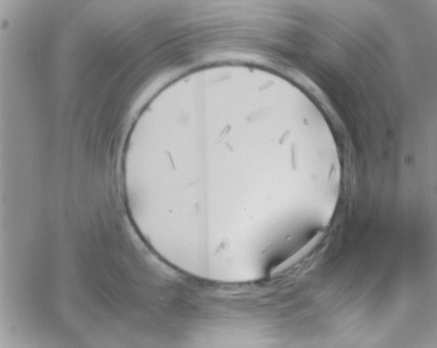 X0000064731199200603131245