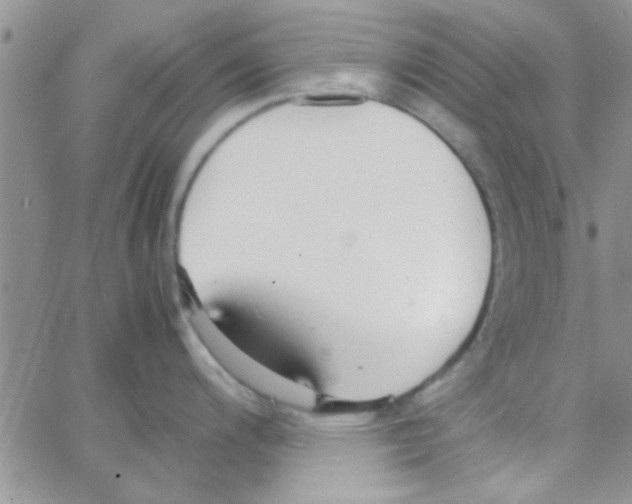 X0000064731200200603131245