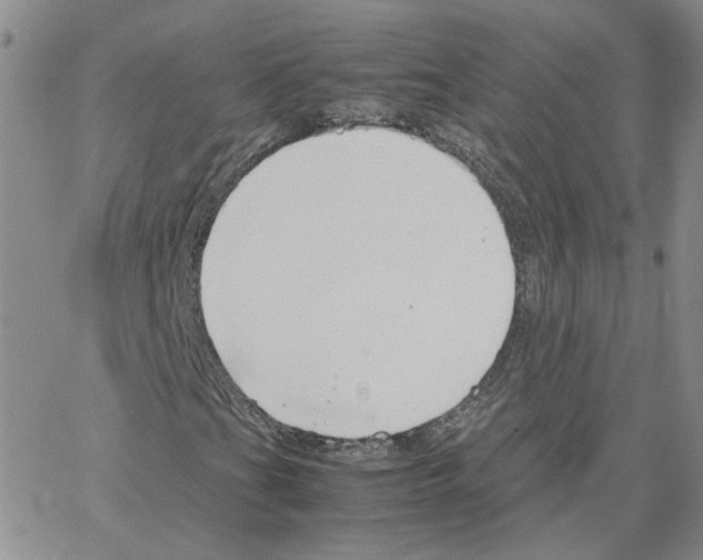 X0000064731201200603131244