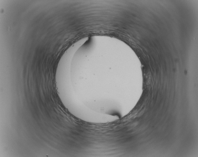 X0000064731202200603131244