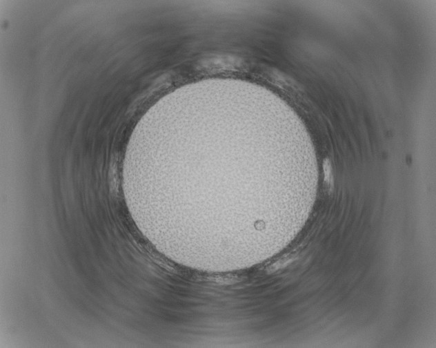 X0000064731203200603131244