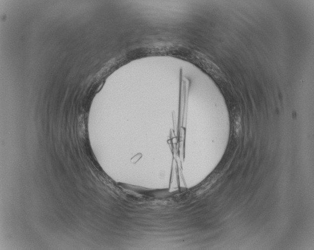 X0000064731204200603131244