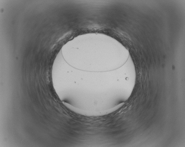 X0000064731205200603131244