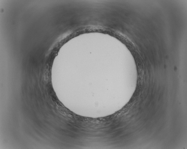 X0000064731207200603131244