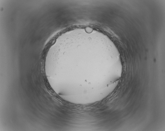 X0000064731208200603131244