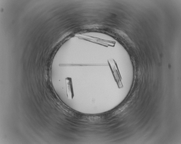 X0000064731209200603131244