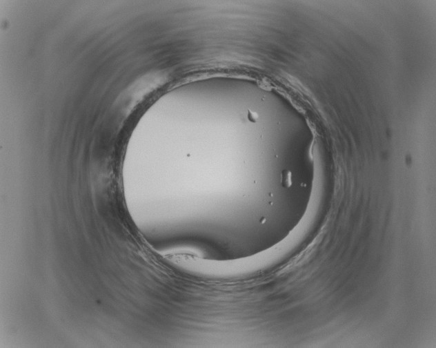 X0000064731210200603131244