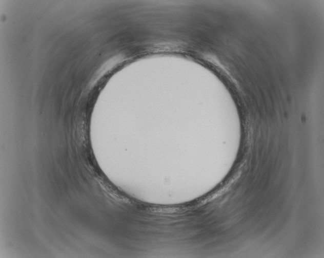 X0000064731211200603131244