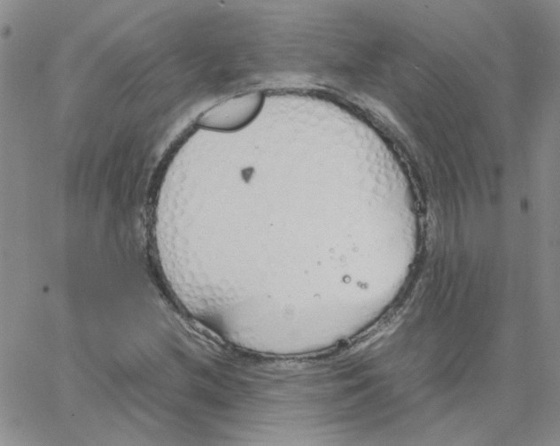 X0000064731212200603131244