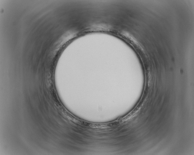 X0000064731213200603131245