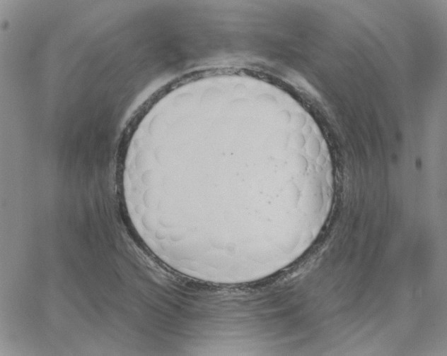 X0000064731216200603131245