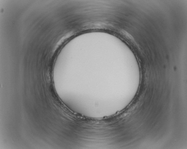 X0000064731218200603131245