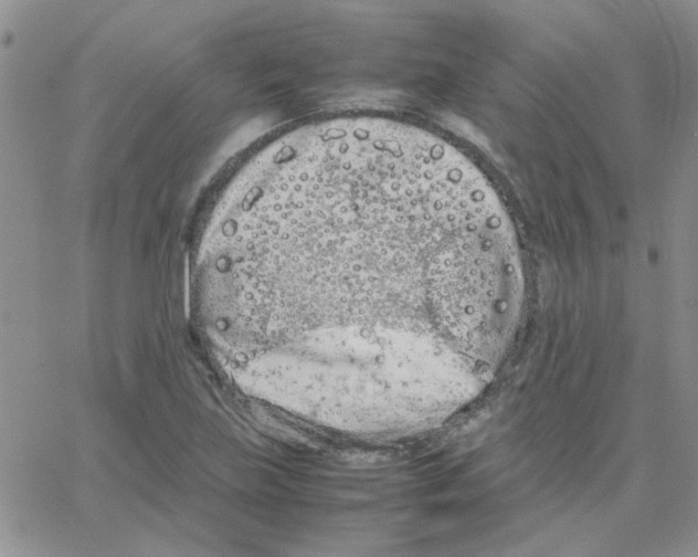 X0000064731219200603131245