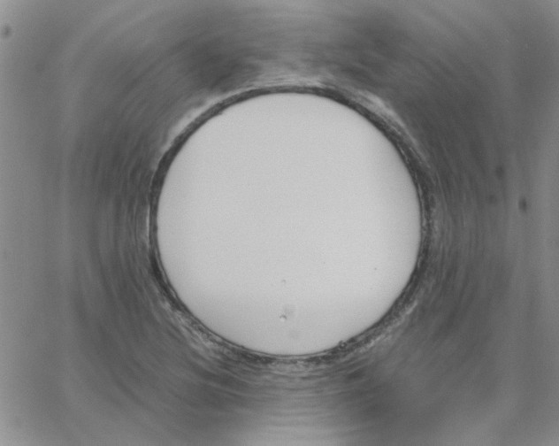 X0000064731220200603131245