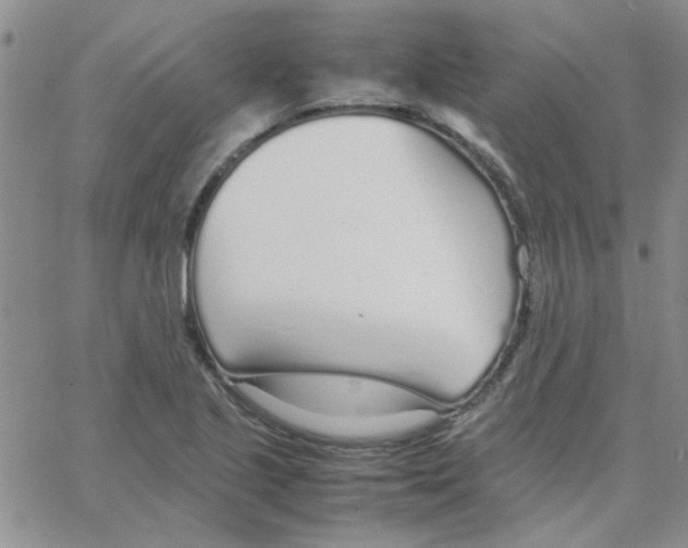 X0000064731221200603131245