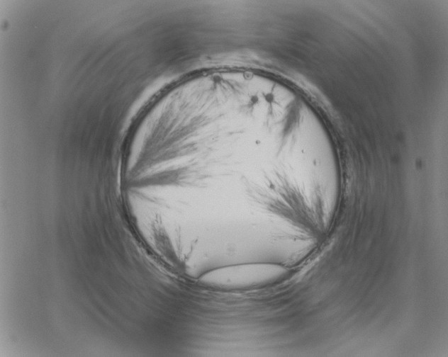 X0000064731224200603131245