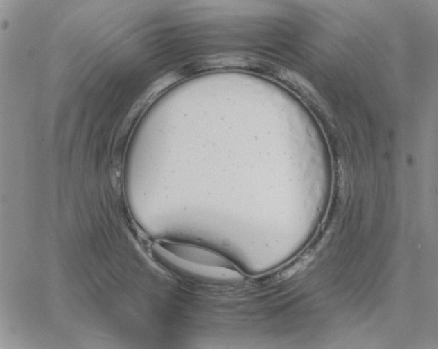 X0000064731225200603131245