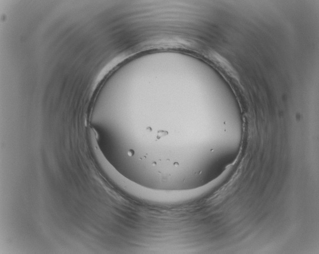 X0000064731226200603131245