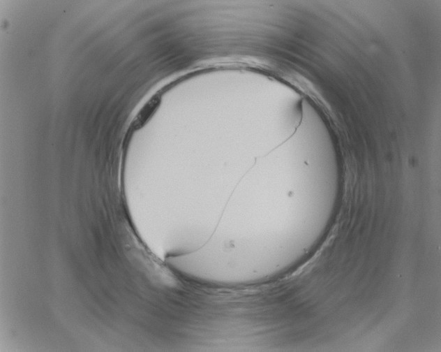 X0000064731228200603131245