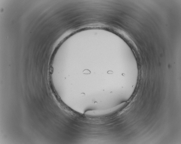 X0000064731229200603131245