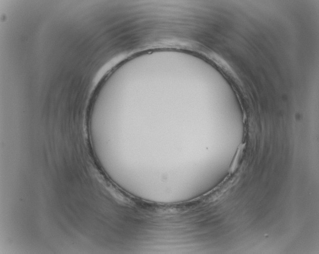 X0000064731230200603131245