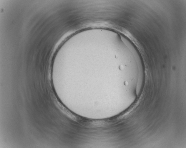 X0000064731232200603131245