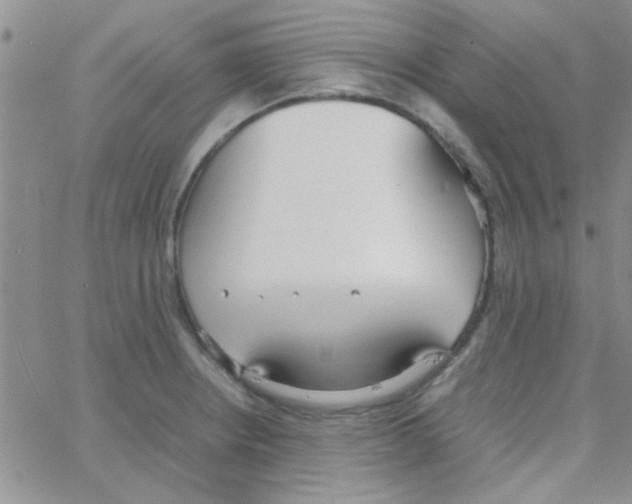 X0000064731234200603131245