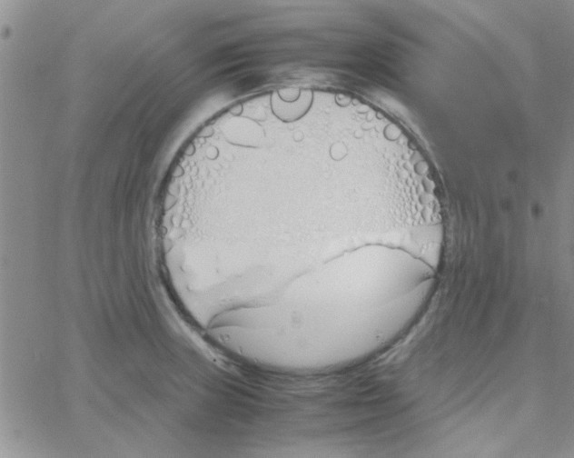 X0000064731235200603131245