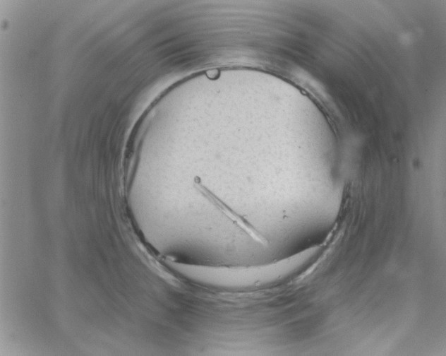 X0000064731236200603131245