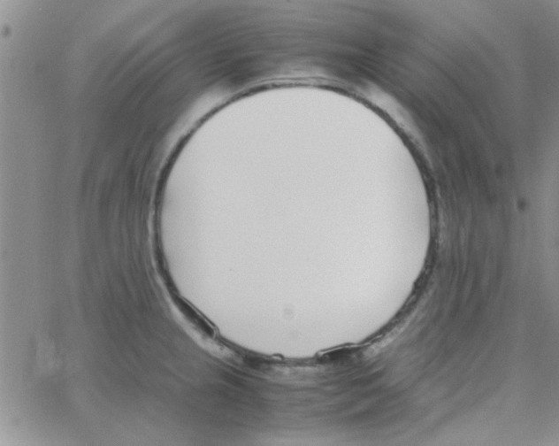 X0000064731237200603131245