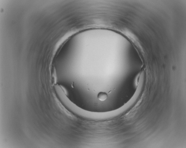 X0000064731238200603131245