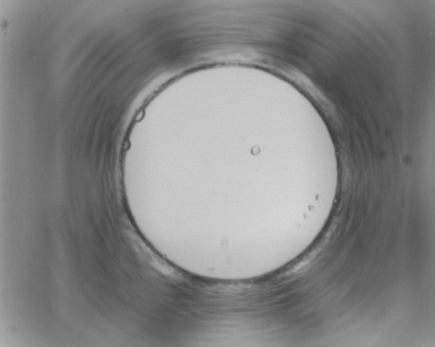 X0000064731240200603131245